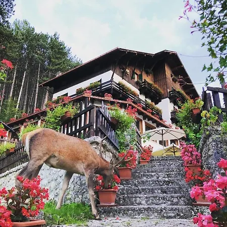 Garni Mille Pini ホテル 3*