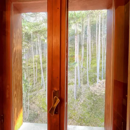 Garni Mille Pini ホテル スカンノ