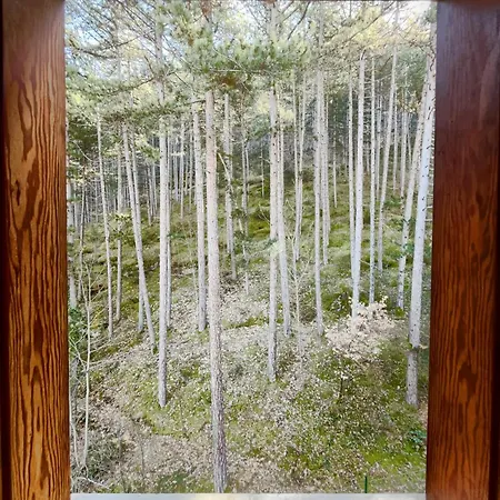 ホテル Garni Mille Pini