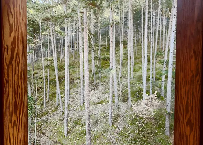 Отель Garni Mille Pini