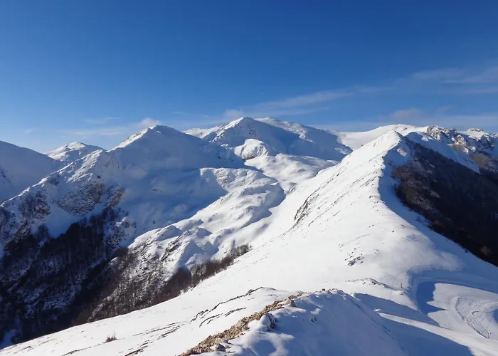 Garni Mille Pini Отель Сканно